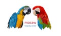 Polygon Graphics two bird macaw parrot isolated on a white background illustration Royalty Free Stock Photo