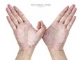 Polygon hand fingers birds sign