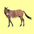 Polygon horse. poly low animal. polygonal isolated vector