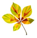 Polygon picture of autumn leaf chestnut