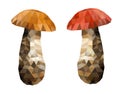 Polygon picture two boletus mushroom
