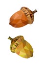 Polygon picture two colored acorn