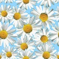 Polygon seamless pattern of daisies blue