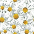 Polygon seamless pattern of daisies white