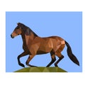 Polygon shape triangle vector horse Royalty Free Stock Photo