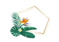 Polygon slanted gold frame with tropical hawaii strelitzia flower leaves bouquet vector background. Tropic exotic Royalty Free Stock Photo