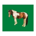 Polygon triangle vector farm horse Royalty Free Stock Photo