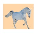 Polygon triangle vector white horse Royalty Free Stock Photo