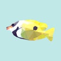 polygon yellow foxface rabbitfish, triangle geometric vector Royalty Free Stock Photo