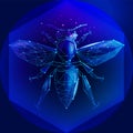 Polygona honey bee - an allusion to Da Vinci\'s Vitruvian Man in technological low poly style. Innovative technologies Royalty Free Stock Photo