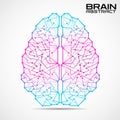 Polygonal abstract brain with connected lines and dots Royalty Free Stock Photo