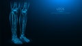 Polygonal anatomical vector illustration of human legs. Femur, patella, tibia, fibula, and foot bones. Low poly model of human