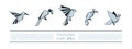 Polygonal Birds Linear Icons Set. Low poly bird icon for banner such as hummingbird, parrot, eagle, woodpecker and