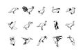 Polygonal Birds Linear Icons Set. Low poly bird logo.