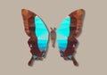 Polygonal Blue Butterfly Model - Vector Papercraft Icon