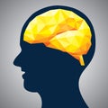 Polygonal brain design Royalty Free Stock Photo