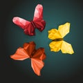 Polygonal butterflies