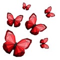Polygonal butterflies