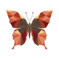 Polygonal butterfly, natural insect icon or logo. Vector illustration isolated on white background, geometric butterfly