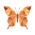 Polygonal butterfly, natural insect icon or logo. Vector illustration isolated on white background, geometric butterfly