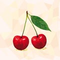 Polygonal cherry in vector