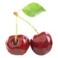 Polygonal Cherry in Vector, low poly style cherry