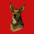 Polygonal dog