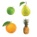 Polygonal fruits isolated