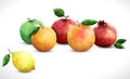 Polygonal fruits with leaf, isolated on the white background