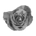 Polygonal gray rose looks sad, isolated polygon vector flower