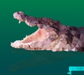 The polygonal head of a crocodile. Vector image.