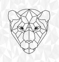 Polygonal head of tiger in vector.