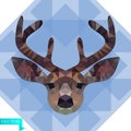 Polygonal head of a young deer in color. Against the background of blue, transparent triangles.