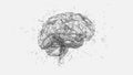 Polygonal human brain illustration on white background