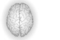 Polygonal human brain. White gray gradient connected dots mind idea concept. Futuristic design background vector