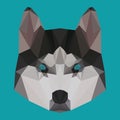 Polygonal husky background