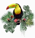 Polygonal Illustration Toucan bird