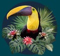 Polygonal Illustration Toucan bird
