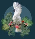 Polygonal Illustration of Umbralla Cockatoo Royalty Free Stock Photo