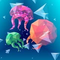 Polygonal jellyfish