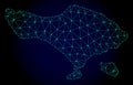 Polygonal Network Mesh Vector Map of Bali Island Royalty Free Stock Photo