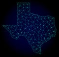 Polygonal Carcass Mesh Vector Map of Texas State