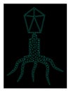 Mesh Virus in Polygonal 2D Vector Style Royalty Free Stock Photo