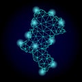 Polygonal Network Mesh Map of Silesia Voivodeship with Light Spots