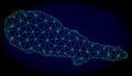 Polygonal Network Mesh Vector Abstract Map of Pico Island