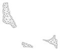 Polygonal Network Mesh Vector Map of Comoros Islands Royalty Free Stock Photo