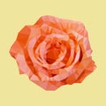 Polygonal orange rose, polygon triangle flower, vector