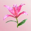 Polygonal pink lily, poly low geometric flower, vector