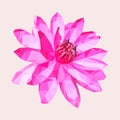 Polygonal pink lotus or water lily, polygon geometric flower