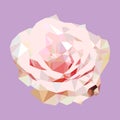 Polygonal pink rose. poly low geometric triangle flower vector